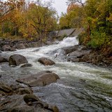 DSC 4982