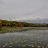 DSC 5050
