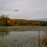 DSC 5055
