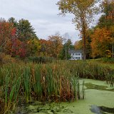 DSC 5063