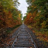 DSC 5088