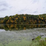 DSC 5151