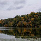 DSC 5154
