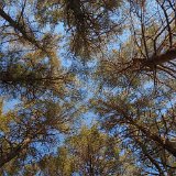 DSC 0005
