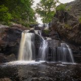DSC 0060