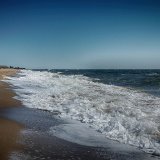 DSC 0086