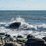 DSC 0094