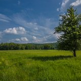 DSC 0295