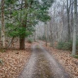 DSC 1564