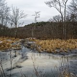 DSC 1631
