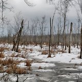 DSC 2198