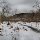 DSC 2207