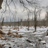 DSC 2210