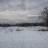 DSC 2213