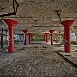 DSC 6992
