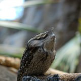 DSC 0185