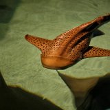 DSC 0203