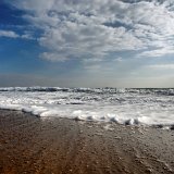 DSC 1476