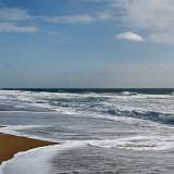 DSC 1491