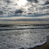 DSC 1516