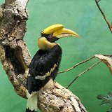 Bronx Zoo 023
