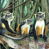Bronx Zoo 133