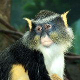 Bronx Zoo 2005