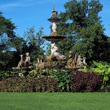 DSC 0194