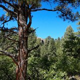 Colorado