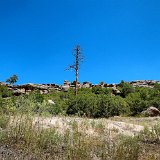 DSC 0085