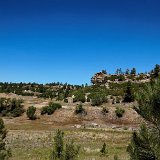 DSC 0090