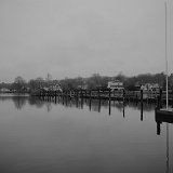 DSC 5467