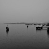 DSC 5489