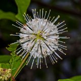 DSC 0035