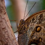 DSC 0051 607
