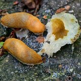 DSC 0053