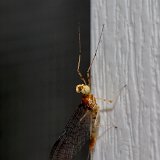 DSC 0063