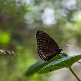 DSC 0329