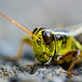 DSC 4673
