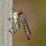 DSC 4868