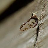 DSC 4873