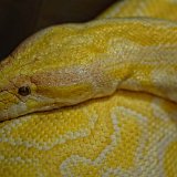 DSC 1174