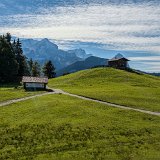 DSC 1659