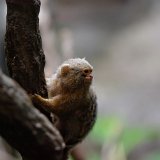DSC 0387