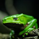 DSC 0427