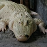 DSC 0430