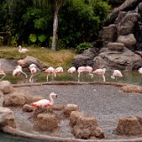 DSC 0720 - DSC 0721