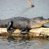 Louisiana