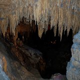 DSC 0820