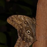 DSC 1854